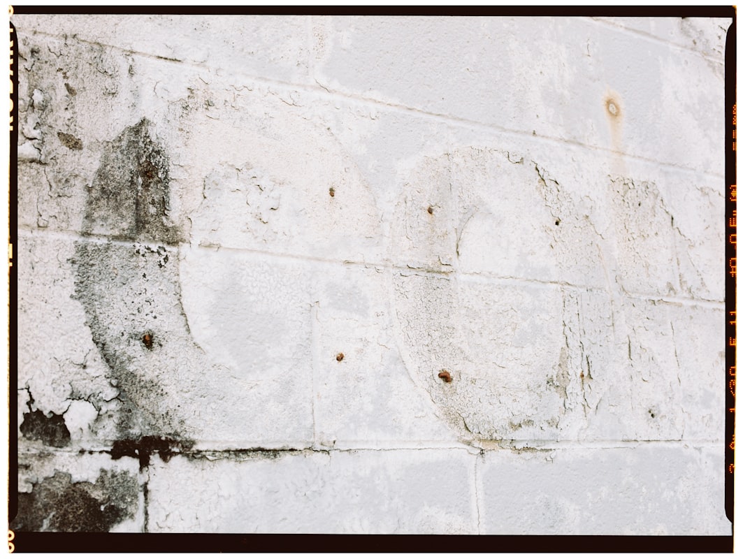 Basement Water Removal service in Novato, CA