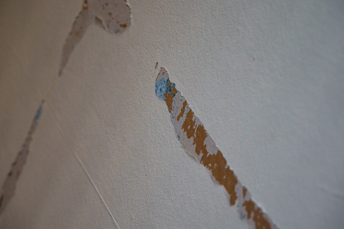 Structural Drying service in Novato, CA